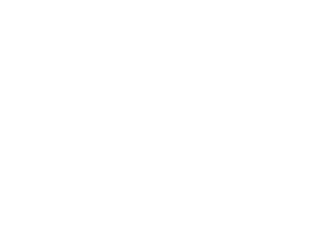 IIE Logo