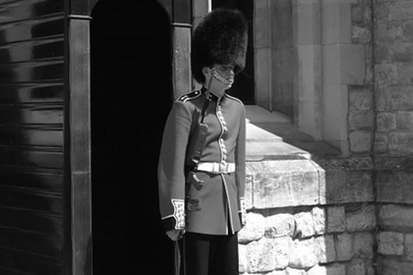 Employment Guard image