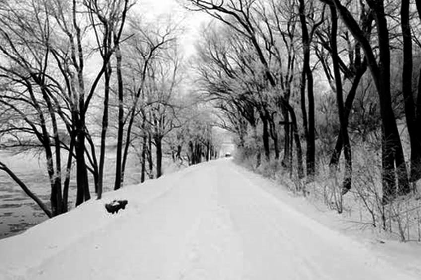 Advice for businesses/ interruption due to snow image